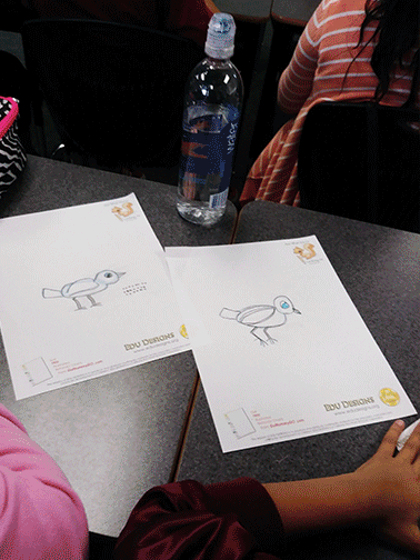 students drawing birds